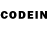 COCAIN Columbia Katoshiku
