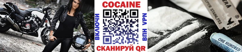 Cocaine FishScale  где купить наркотик  Инза 