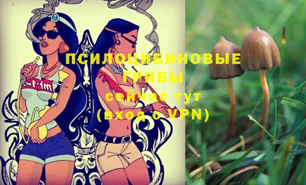 синтетический гашиш Грязовец