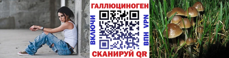 Галлюциногенные грибы Psilocybine cubensis  Инза 